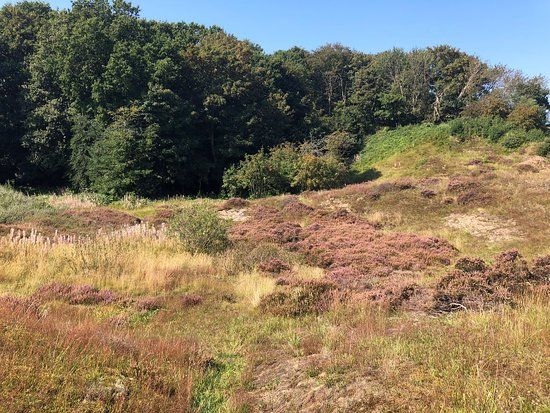 de Hoge Berg Texel